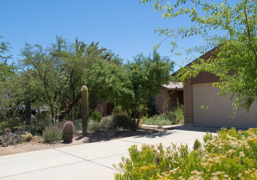 Front Yard Landscaping Ideas With Professional Tree Service In Scottsdale, AZ