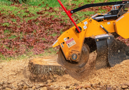 Elevate Front Yard Landscaping In Portland By Removing Unsightly Tree Stumps