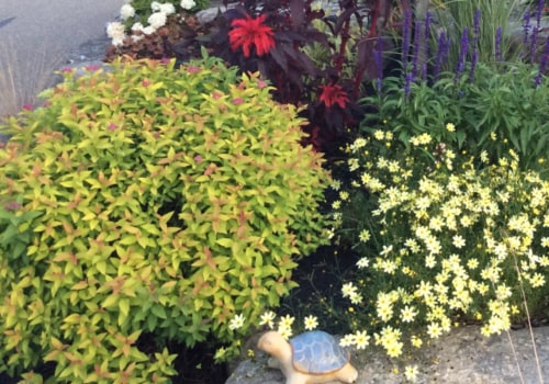 How To Choose The Perfect Front Yard Flower For A Special Occasion In Ontario
