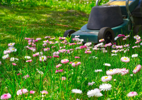 Sprucing Up Kingsbury: Expert Lawn Treatment For Front Yard Landscaping