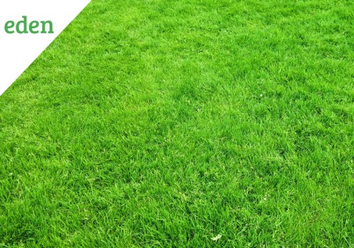 Whats the difference between a yard and a lawn?